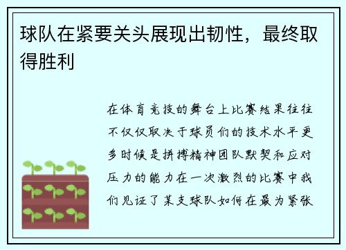 球队在紧要关头展现出韧性，最终取得胜利