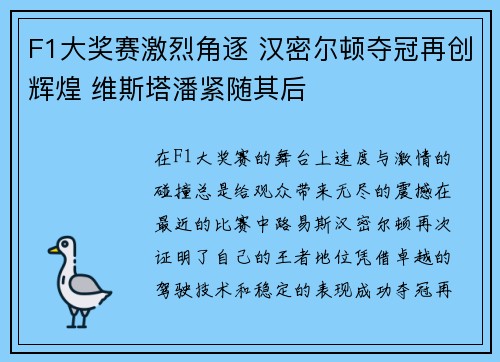 F1大奖赛激烈角逐 汉密尔顿夺冠再创辉煌 维斯塔潘紧随其后